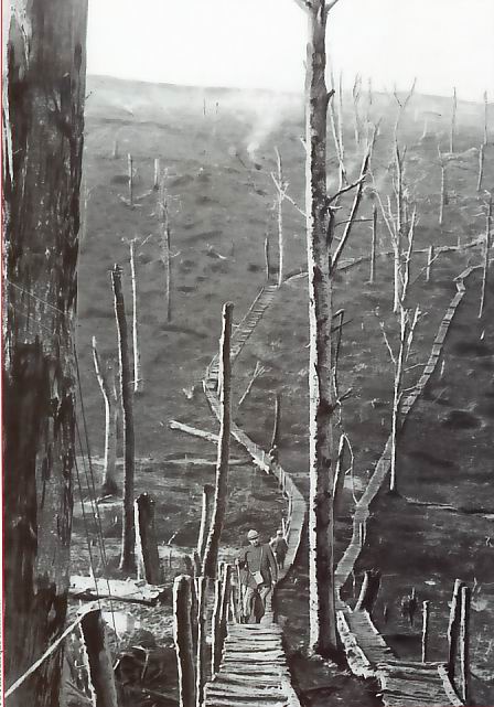Paysage dévasté à Verdun